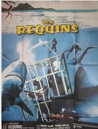 les-requins