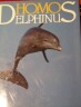 homosdelphinus.jpg