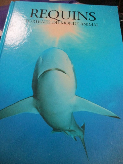 requins-secret.JPG