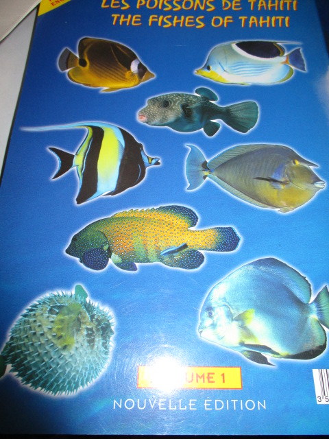 tahiti-poissons.JPG